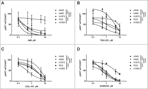 Figure 3. Pharmacodynamic responses to PI3K isoform selective inhibition. The relative levels of phosphorylated AKT in NSCLC cell lines (A549, H460, H1975, PC9, H1650) treated with increasing concentrations of PI3K inhibitors (A) A66 (B) TGX-221 (C) IC488743 and (D) CAL-101. Cells were synchronized by serum-starved for 24hr prior to release in RPMI 1640 media containing 1% serum with or without drug for 3 hr. Cell lysates were collected for immunoblotting analysis with pAKT (S473) and tAKT antibodies. α-tubulin serves as the normalization control. ImageJ software was used for densitometric analysis of pAKT and tAKT levels. Three independent experiments were quantified, pAKT (S473) was normalized to tAKT , and data were averaged to reflect relative changes in pAKT (S473) activation. Error bars represent mean ± SEM. PIK3CA mutant cell lines are indicated.