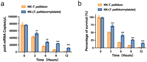Figure 4. Preincubation of T. pallidum with platelets attenuated natural killer (NK) cell lethality. (a) Analysis of T. pallidum mRNA through targeting the polA transcript. (b) Survival rate analysis of T. pallidum. These data represent differentiation experiments performed across three independent experiments. Data are represented as means ± SD (n = 3). A student’s t-test was used to compare two groups. **p < 0.01; ***p < 0.001.