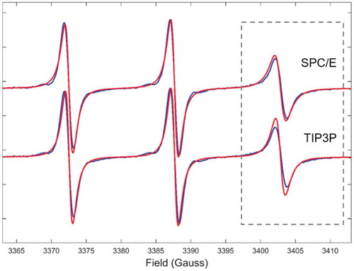 Figure 10. (Colour online) Comparison between experimental EPR spectrum of SDS micelle doped with 5DSA at 320 K (blue lines) and those predicted from MD (red lines) using two different force field models for water.