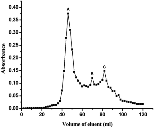 Figure 1. Gel filtration chromatography of K. hospita seed protein in Sephadex G-100.