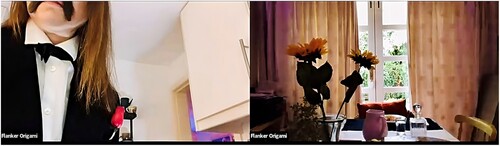 Figure 2. Flanker Origami, Organic Theatre. June 2022. Bianca Mastrominico as Flanker in the kitchen, with empty living room. Screenshot from Zoom recording. © 2023 Organic Theatre.
