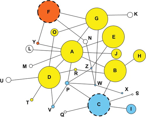 Figure 1. Network showing relationships among haplotypes of PRNP. Each circle represents a distinct haplotype sequence, designated A through Z, with circle sizes proportional to the frequency of the haplotypes among white-tailed deer. Each line indicates a single nucleotide difference separating two haplotypes (there were no cases where the line depicted represented more than a single nucleotide difference). Haplotypes that share the same color have the same inferred amino acid residues for the portion of the coding region sequenced (and thus are separated only by synonymous difference). The haplotypes protective against CWD are identified using a dashed circle. Interestingly, each of the two protective haplotypes (C in blue and F in orange) had a different amino acid sequence than the other major haplotypes (A through H, exclusive of C and F) and from each other. The haplotypes depicted in white each had a distinct amino acid sequence from every other haplotype.