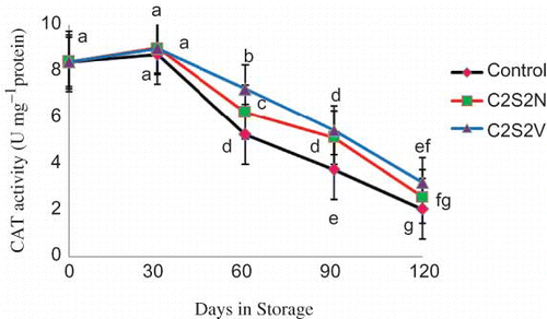 FIGURE 4 Effect of 2% CaCl2 in combination with 2 mM spermidine by normal dip and vacuum infiltration methods on changes in CAT activity of pomegranate fruit during storage at 2°C. Each value is the mean of three replicate samples ±S.E. Values labeled with the same letters are not different at the 5% level (color figure available online).