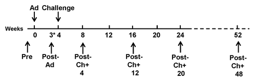 Figure 2. Trial design. Subjects were immunized week 0 and challenged week 4. Samples for measuring cell-mediated immunity (ELISpot assay and flow cytometry) and antibody levels (ELISA and IFA) were collected at six time points (black arrows): Pre (pre-immunization), Post-Ad (*22–23 d after immunization), Post-Ch+4 (four weeks after challenge), Post-Ch+12 (12 weeks after challenge), Post-Ch+20 (20 weeks after challenge), and Post-Ch+48 (48 weeks after challenge).