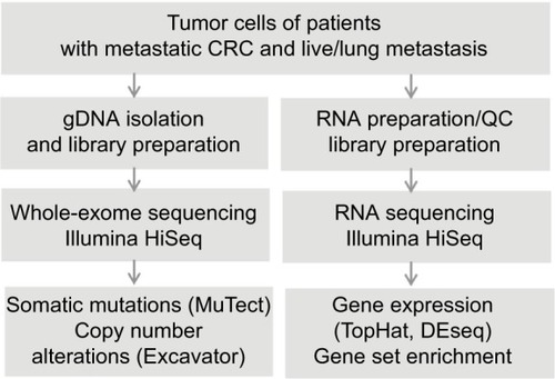 Figure 1 Schematic diagram of the workflow of CRC genome and transcriptome analysis using NGS.