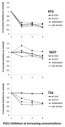 Figure 4. Invasion assay using transwell chambers coated with Matrigel® showed significant reductions of invasion compared with controls, in RT4 cells for all drugs at all concentrations tested. For 5637, treatments were ineffective (GW843682X) or showed mild effects. T24 cells on the other hand, did not suffer any invasion reduction after treatment with BI 2536 though dose-dependency was observed for the other three drugs tested (Fig. 2B). Both cell lines presented a significant decrease in invasion rate after treatment with higher concentrations BI 2536; *Statistically different P < 0.05