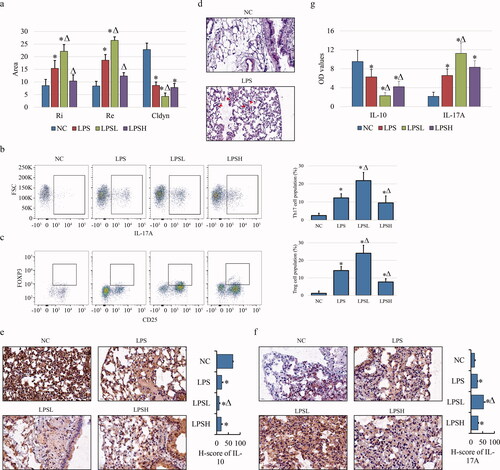 Figure 1. Inflammatory response of lung tissues in COPD rat model. (a) Lung function assay shows the expiratory resistance (Re), inspiratory resistance (Ri) and airway compliance (Cldyn) in LPSL model. (b, c) Flowcytometric assay show the populations of Th17 (CD4+/IL-17A+) (b) and Treg (CD4+/FOXP3+/CD25+) (c) CD4 cells in peripheral blood. (d) H&E staining show the inflammatory cells invasion in lung tissues of COPD compared to NC with 400× magnification. Lymphocytes presenting the small cytoplasm, large nucleus and blue staining are highlighted by red arrows. (e, f) IHC shows the positive staining of IL-10 (e) and IL-17A (f) in different samples with 400× magnification. (g) ELISA shows the expression of IL-10 and IL-17A in serum of COPD model. “*” and “Δ” mean the statistical significance with p less than 0.05 compared to NC and LPS group respectively. Abbr eviation: NC, negative control; LPS, LPS-induced COPD model; LPSL, LPS treated with 0.5% sevoflurane; LPSH, LPS treated with 2% sevoflurane.