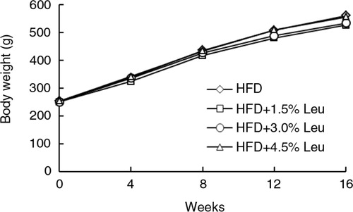 Fig. 1 Body weights of rats in the four groups during the experimental period (n=12 for each group). HFD, high-food diet; Leu, leucine.
