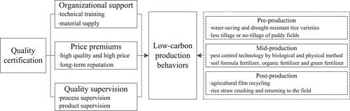 Figure 1. Possible pathways of quality certification on farmers’ low-carbon production behaviors.