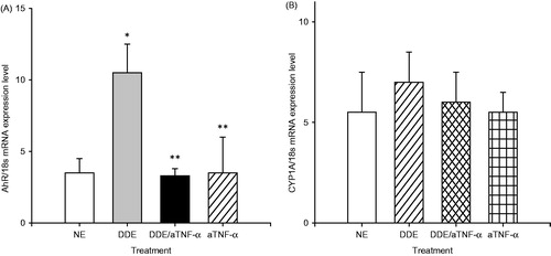 Figure 4. Effect on relative (A) AhR and (B) CYP1A1 gene expression in PBMC exposed to DDE (10 µg/ml) and an antagonist of TNFα (100 ng anti-TNFα/ml) after 2 h of exposure. Mean [±SD] of three independent experiments is shown. mRNA for selected genes were compared using qRT-PCR and normalized against 18s rRNA. *p < 0.05 versus non-exposed cells (NE) and **p < 0.05 versus DDE-exposed cells.