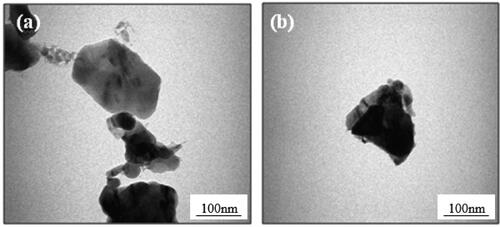 Figure 6. TEM images for (a) undoped ZnO and (b) 5% Eu-doped ZnO sample.