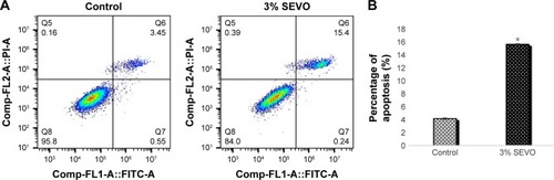 Figure 1 Effect of sevoflurane on apoptosis of A549 cells.