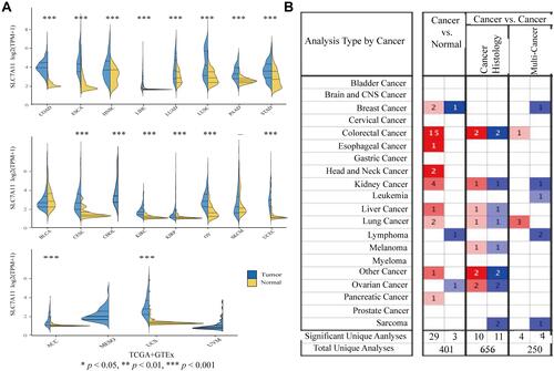 Figure 1 Pan-cancer analysis of SLC7A11 expression. (A) Expression levels of SLC7A11 in tumor and normal tissues were assessed based on the TCGA and GTEx databases (Wilcoxon test was used for statistical analyses, *P < 0.05, **P < 0.01, ***P < 0.001). (B) Expression levels of SLC7A11 in tumor and normal tissues were assessed based on Oncomine. A fold change of 2 and a P value of 0.01 were designed as the cutoff values.