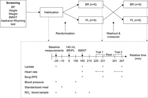 Figure 1 Schematic overview of the study protocol (top) and the experimental protocol (bottom) completed during the habituation visit and at day 7 of each intervention period (indicated by dashed arrows).