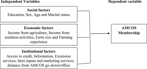 Figure 1. Conceptual framework model of farmer’s membership in AMCOS.