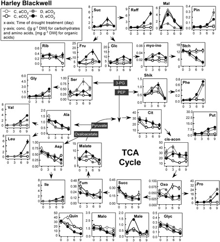 Figure 2. Diagram of foliar metabolic changes due to water stress and CO2 enrichment in Harley Blackwell. The x-axis shows days of drought treatment. The y-axis shows leaf metabolite concentrations. The open and closed circle represents well-watered (C) and drought (D) condition. The grey and black color represents ambient (400 ppm) and elevated (800 ppm) CO2 levels. Error bars represent SEM (n = 8). Abbreviations are for carbohydrates, CB (Suc, sucrose; Raff, raffinose; Mal, maltose; Pin, pinitol; Rib, ribose; Fru, fructose; Glc, glucose; myo-ino, myo-inositol; Stch, leaf starch), amino acids, AA (Gly, glycine; Ser, serine; Leu, leucine; Phe, phenylalanine; Val, valine; Ala, alanine; Asp, aspartate; Ile, isoleucine; Pro, proline; Phe, phenylalanine), and organic acids, OA (Mala, malate; Fum, fumarate; Succ, succinate; Cit, citrate; cis-acon, cis-aconitate; Oxo, 2-oxoglutaric acid; Quin, quinate; Malo, malonate; Male, maleate; Glyc, glycerate; Shik, Shikimate). Put, Putrescine