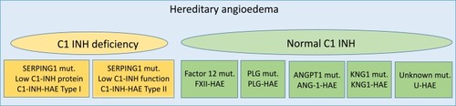 Figure 1 Classification of hereditary angioedema.