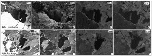 Figure 2. Aerial imagery showing changes from 1954 to 2016 in the lake catchments and surrounds at each of Lake Rotokawau and Humuhumu.