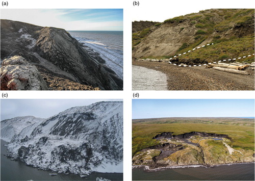 Fig. 5  Coasts of Herschel Island can undergo a series of mass wasting and accumulation processes. Material is transported as mudflows, landslides and block failures before reaching the shore. (a) Slumping, mudflows and shore accumulations on Bell Bluff; (b) active-layer detachment on the east coast (marked with a white dashed line); (c) block failure on the north coast; and (d) retrogressive thaw slump on the east coast.