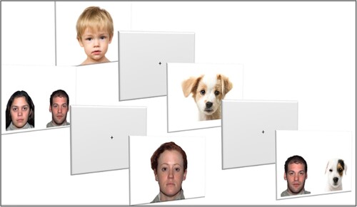 Figure 1. Example stimuli from the pair paradigm (from left to right): human–human, adult individual, child individual, dog individual, and human–dog pair.