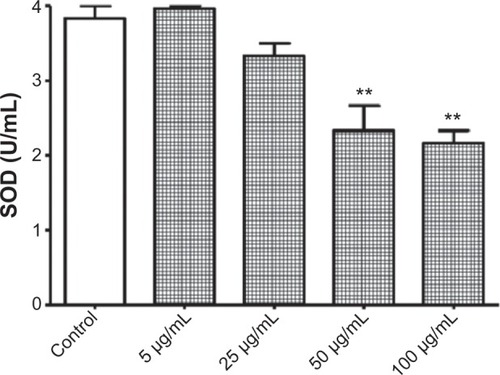 Figure 5 Reduction of superoxide dismutase (SOD) activity by titanium oxide nanoparticles (TiO2NPs) in hFOB 1.19 cells. The exposure of cells to TiO2NPs decreased SOD activity.Notes: Data shown are means ± standard deviations of duplicate determinations from four independent experiments. **P<0.01 compared with control.