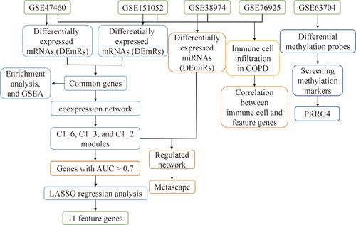 Figure 1 Flowchart of this study.