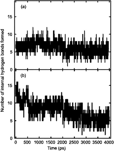 Figure 4.  Total internal hydrogen bonding within ARF1p: (a) the stable hydrogen bonding pattern of the crystal structure of model A. There are no major fluctuations observed within this model. (b) the initial α-helical structure of model C. The initial hydrogen bonding pattern within this model was typical of an α-helix. However, as the simulation progresses, the number of hydrogen bonds was reduced to values closely associated with model A.