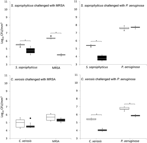 Figure 3. Viable counts of axenic and combined cultures of pre-established communities of S. saprophyticus and C. xerosis when exposed to the transient pathogenic bacteria MRSA and P. aeruginosa in simulated serum. See legend to Figure 2.