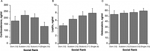 Figure 4 Plasma corticosterone (A), leptin (B), and osteocalcin (C) concentrations (mean ± SEM) in trunk blood collected after a final 1 h social interaction at the termination of the experiment. Social rank was defined as described in Figure 2, and was re-evaluated several times during the experiment to monitor potential changes in social hierarchy. Values are shown relative to established social rank in triads, or single housing. Corticosterone and osteocalcin concentrations did not differ among groups; however, there was a trend toward a dominance related decrease in leptin concentrations, p = 0.072.