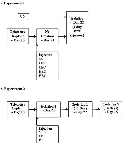 Figure 1. A Representation of experimental timeline. (A) Guinea pig pups received no surgery or injections (UN), or surgery to implant telemetry devices and two injections of saline and saline (SS), low dose ephedrine and saline (LES), low dose ephedrine and cortisol (LEC), high dose ephedrine and saline (HES), or high dose ephedrine and cortisol (HEC) prior to isolation on the day after injection and at a comparable age for non-injected pups. (B) Guinea pig pups were treated with saline vehicle (VEH), or low dose propranolol (LP), or high dose propranolol (HP), prior to first isolation. They were then isolated again without injection 1 and 4 days later.