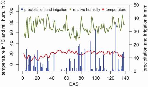 Figure 2. Daily precipitation and irrigation in mm, daily averaged values of temperature in °C, and of relative humidity in %, during the vegetation period in Groß-Enzersdorf, 2019.