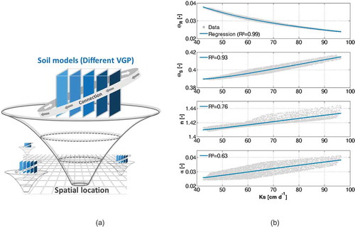 Figure 1. (a) Spatial structure of the soil model DYVESOM. The model includes several sub-models characterized by different sets of van Genuchten (Citation1980) parameters (VGP). These different sub-models operate both individually and in parallel at the same spatial locations. (b) The VGP sets are established in dependence on the saturated hydraulic conductivity (Ks). Multiple regression functions were derived in order to describe the connection between Ks and the VGP θR, θS, n and α (Kreye and Meon Citation2016).