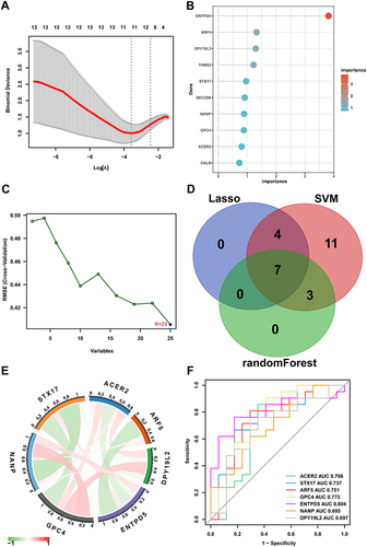 Figure 6 Selection of hub genes via machine learning.