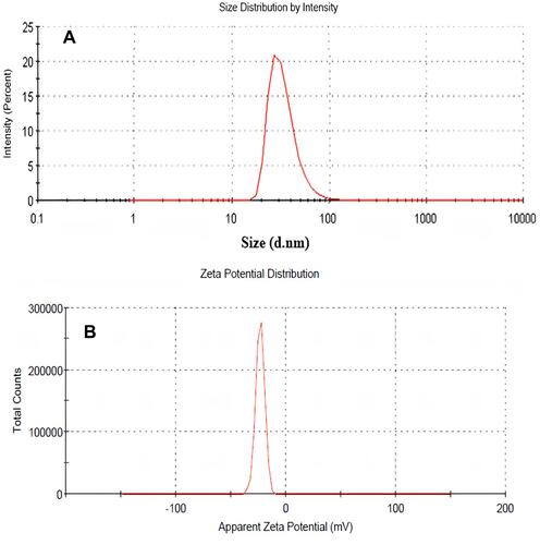 Figure 5 (A) DLS of biosynthesized zinc oxide nanoparticles; (B) zeta potential of biosynthesized zinc oxide nanoparticles.