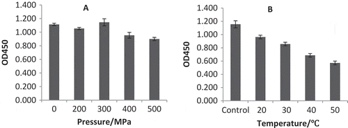 FIGURE 3 (a) Immunoreactivity changes of proteins from pineapple juice after treated with different pressures; (b) immunoreactivity changes of pineapple juice proteins after treatment with 400 MPa under different temperatures. Control sample were kept at 20°C without high-pressure treatment.