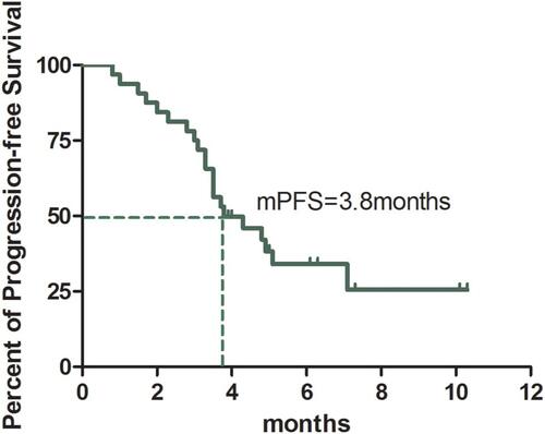 Figure 2 Kaplan–Meier graph for the progression-free survival in patients (n=32).