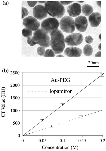 Figure 1. Properties of 30-nm Au-PEG. (a) TEM image of 30-nm Au-PEG. (b) Comparison of the contrast efficiency of 30-nm Au-PEG with iopamiron. There was a proportional relationship between the concentration and the CT value of Au-PEG. The CT value of Au-PEG was approximately twofold greater than that of the clinically used iodine agent at the same concentration. Error bars represent the standard error of the mean (SEM).