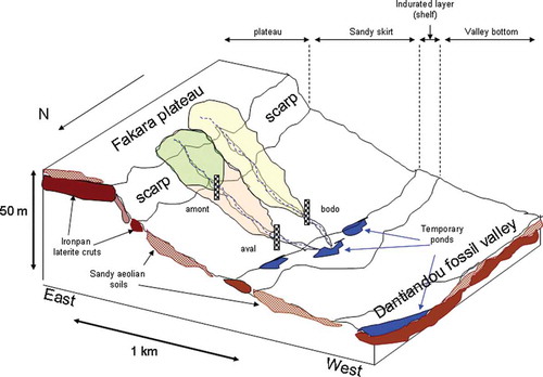 Fig. 2 Schematic diagram of the site of Tondi Kiboro basins.