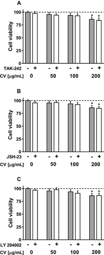 Figure 1 Viability of RAW264.7 cells stimulated with different concentrations of CV extract in the presence or absence of the following inhibitors: TAK-242 (Toll-like receptor 4 inhibitor; (A)), JSH-23 (nuclear factor κB inhibitor; (B)) or LY294002 (phosphoinositide 3-kinase inhibitor (C)). Cell viability was assessed using the MTT assay. The results are presented as a percentages of the control cells cultured in DMEM (served as 100%; dash lines). The data are shown as the mean ± standard error of two independent experiments with six wells in each experiment. Asterisk denotes differences between the cells treated with the CV extract and/or the inhibitors compared with the control cells (*p < 0.05).