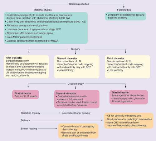 Figure 1.  Managing breast cancer during pregnancy: invasive breast cancer on core or excisional biopsy. BCT: Breast conservation therapy; CBC: Complete blood count; LN: Lymph node; MUGA: Multiple-gated acquisition scan.
