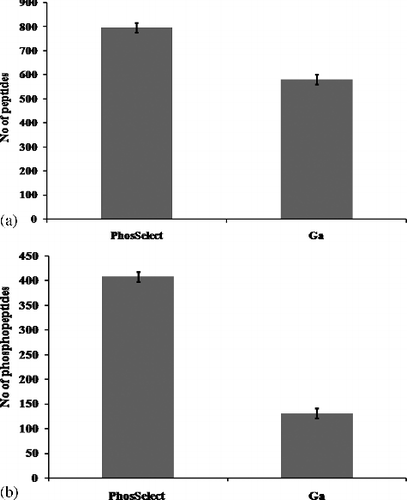 Figure 1. (a) Total number of peptides identified from jurkat cell line using PHOS-Select IMAC and Ga- IMAC columns. phos-select imac identified 796 peptides and ga-imac identified 581 peptides. y-axis depicts the number of peptides. (b) Total number of phosphopeptides identified from jurkat cells using PHOS-Select IMAC and Ga-IMAC. PHOS-Select IMAC identified 408 phosphopeptides and Ga-IMAC identified 131 phosphopeptides. The number of phosphopeptides is displayed on y-axis.