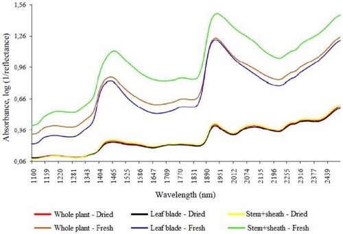 Figure 3. Average raw spectra of fresh and dried samples of whole plant, lelaf blade and stem + sheath of Brachiaria brizantha cv. Piatã.