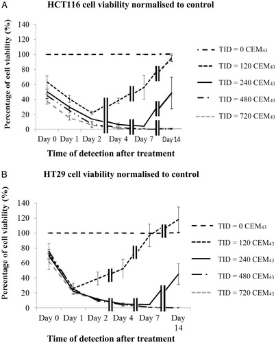 Figure 3. Average viability of HCT116 and HT29 colon cancer cells assessed up to 14 days after ‘slow’ hyperthermic exposures with TIDs of 0, 120, 240, 480 and 720 CEM43 achieved using 37 °C, 46 °C, 47 °C, 48 °C for 15 min and 49 °C for 11 min and 15 s, respectively. Results are presented as means ± SEM for three independent experiments per data point.