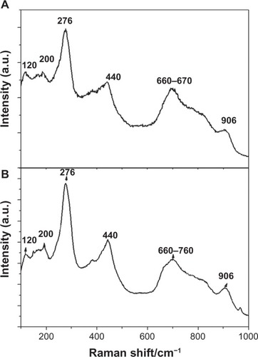 Figure 2 Raman spectra of NT-Ti and AgNP-NT-Ti.Notes: (A) NT-Ti; (B) AgNP-NT-Ti.Abbreviations: NT-Ti, titanium foil sample with hydrogen titanate nanotube layer; AgNP, silver nanoparticle; AgNP-NT-Ti; AgNP-filled nanotube layer on the titanium foil surface; a.u., arbitrary unit.