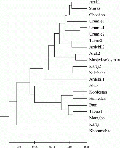 Figure 3.  Dendrogram of the 27 local and exotic populations of M. sativa based on total protein profiles.