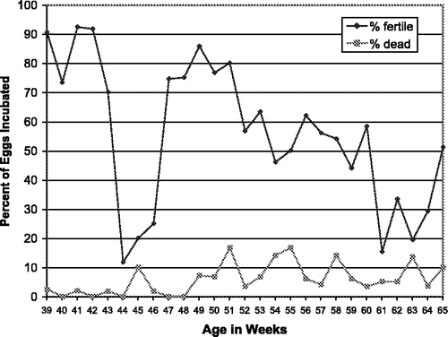 Figure 1. Fertility and viability of line 0 eggs at 11 days incubation (2000/2001).