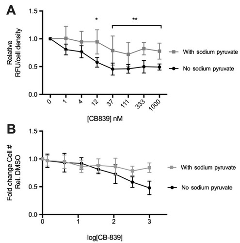 Figure 5 Effect of sodium pyruvate on CB-839 induced changes in glutamate release and cell survival in vitro CB-839 reduces extracellular glutamate (A) relative to the vehicle (DMSO) control at concentrations above 12 uM only in the absence of sodium pyruvate in culture media (P<0.005). No significant changes observed in the presence of sodium pyruvate. CB-839-induced decrease in cell number after treatment for 72 hrs observed only in the absence of sodium pyruvate in culture media (B). Non-linear regression of (B) results in a shift in EC50 values between “no sodium pyruvate” (EC50=4.997 nM) and “with sodium pyruvate“ (EC50=11.07) indicating that cellular proliferation and/or survival is affected by CB-839 treatment only when sodium pyruvate is absent from culture media.