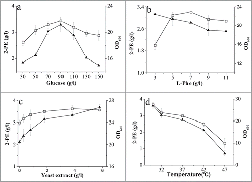 Figure 4. Effect of glucose (A), L-Phe (B), yeast extract (C) concentration, and temperature (D) on 2-PE production and cell growth. Biomass was measured using a spectrophotometer at 600 nm, and the 2-PE titer was determined by HPLC. Open square, 2-PE; solid triangle, OD600.