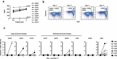 Figure 4. Immunogenic prioritization of non-anchor-type neoantigen variants with single amino-acid substitutions. (A) Peptide-HLA-A24 stability assay using T2-A24 cells in a range of indicated peptide concentrations. The change in mean fluorescence intensity (ΔMFI) was calculated as the experimental MFI minus the background MFI without a peptide pulse. (B) Representative responses of T-cell induction against AKF9 and ADF9. Numbers indicate the proportion of tetramer-positive CD8+ cells. Naive CD8+ T cells derived from HD-PBMCs were stimulated with autologous DCs pulsed with a cocktail of neoantigen variants along with the WT and CMVpp65. On days −1 (before stimulation) and 11 (after stimulation), the frequency of reactive CD8+ T cells was measured using the corresponding peptide-HLA-A24 tetramers. (C) Summary of T-cell induction in seven HD-PBMCs. The frequency of CD8+ T cells recognizing neoantigen variants or the WT before and after stimulation is shown. Asterisks indicate T-cell responses in which the frequency increased ≥ 4-fold after stimulation, with ≥ 0.1% tetramer+ CD8+ cells. The HDs with the same numbers are in common with those in Figure 2