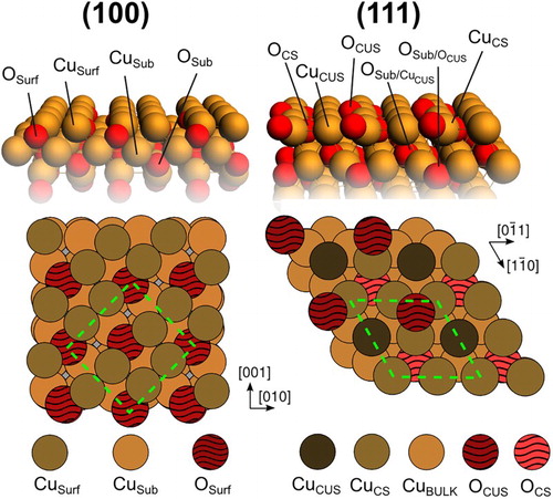 Figure 1. Atomic models showing the top and side views of the ideal p(1×1) (111) and the copper terminated and c(2×2) ridge-dimer reconstructed (100) surface facet of Cu2O. CS(CUS) = coordinatively (un)saturated atom.